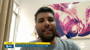 Baleias e golfinhos encantam nas águas de Arraial do Cabo