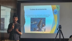 Whale Watching em debate: lições globais e o caso de Arraial do Cabo