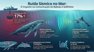Como baleias e golfinhos reagem ao ruído de pesquisas sísmicas