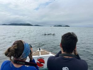 De Oregon à Costa Verde: ECoMAR recebe especialistas para novo projeto do CNPq